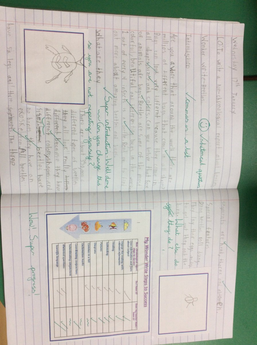 KSAB_Y2's tweet photo. Here is a small taste of the incredible Non Chronological Reports on beetles. Sir David Attenborough we hope you enjoy reading them! You should come visit us to see all of our wonderful writing! #deardavidy2 https://t.co/4KIAHORMMz