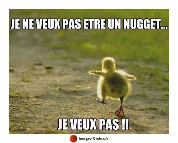 Images Droles Fr A Twitter Je Ne Veux Pas Etre Un Nugget Animaux Bebe Poussin Humour Voir Cette Image Et D Autres Sur T Co Weelcjzsmj T Co 1ec3ieji8i Twitter