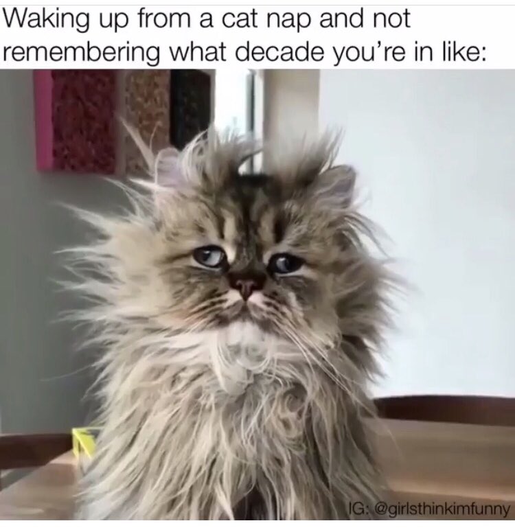katiengoff's tweet photo. Me being on night shift https://t.co/GRy8QPlN99
