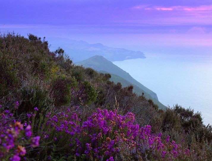 GreatDevonDays's tweet photo. When days are grey it's good to have a throwback to the glorious days of July - #Hangmans on edge of @visitexmoor @VisitDevon #SimonStuart https://t.co/M2TfPecn82