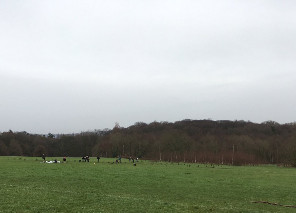 sj_unwin's tweet photo. Tree planting on Whirlow Playing Fields with @ParksSheffield @Ecclesallwoods quite a good turn out despite the weather forecast.Special thanks to @doreprimary who made an excellent start in the snow on Wednesday. Even our Lord Mayor visited to inspect progress, well done everyone https://t.co/OzPh0JCU5t