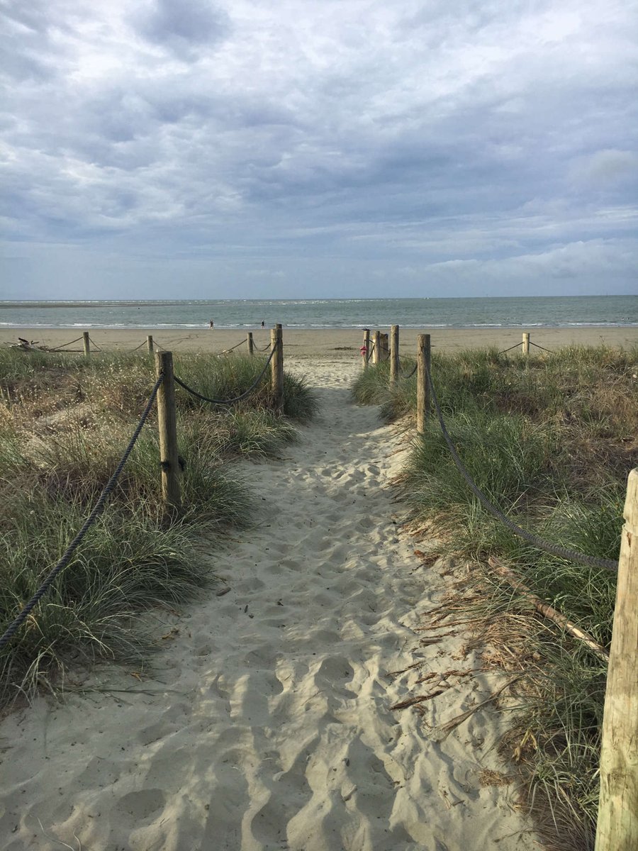 TheBouncingLamb's tweet photo. Why not go for a evening dip when your hostel is a 3 minute walk to the beach!?
#swim #beach #hostel #summer #nelson #tahuna #beachbeersbbqsbeds #ilovemyjob #noregrets #backpackerlife #everydaysasaturday #lonelyplanet #letsgoeverywhere #backpackernz #newzealand https://t.co/LI8Qhma6ec