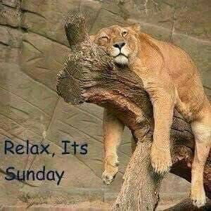 One_Luv_Angel's tweet photo. Sunday 🤗 https://t.co/C68YjrxEeT
