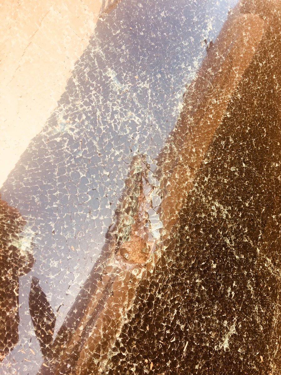 Gerhard Steyn tweet media