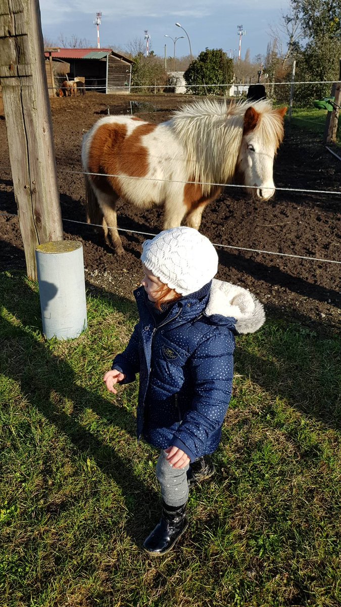 parents_presses's tweet photo. Mini moi et mini poney 😍 
#poney #balladedudimanche #fermeequestre #activiteenfant #jekiffelesponeys https://t.co/DBp9xr68ne