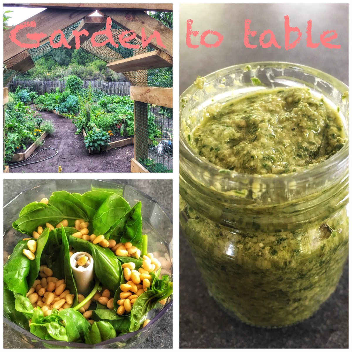 Forest_Edge tweet media