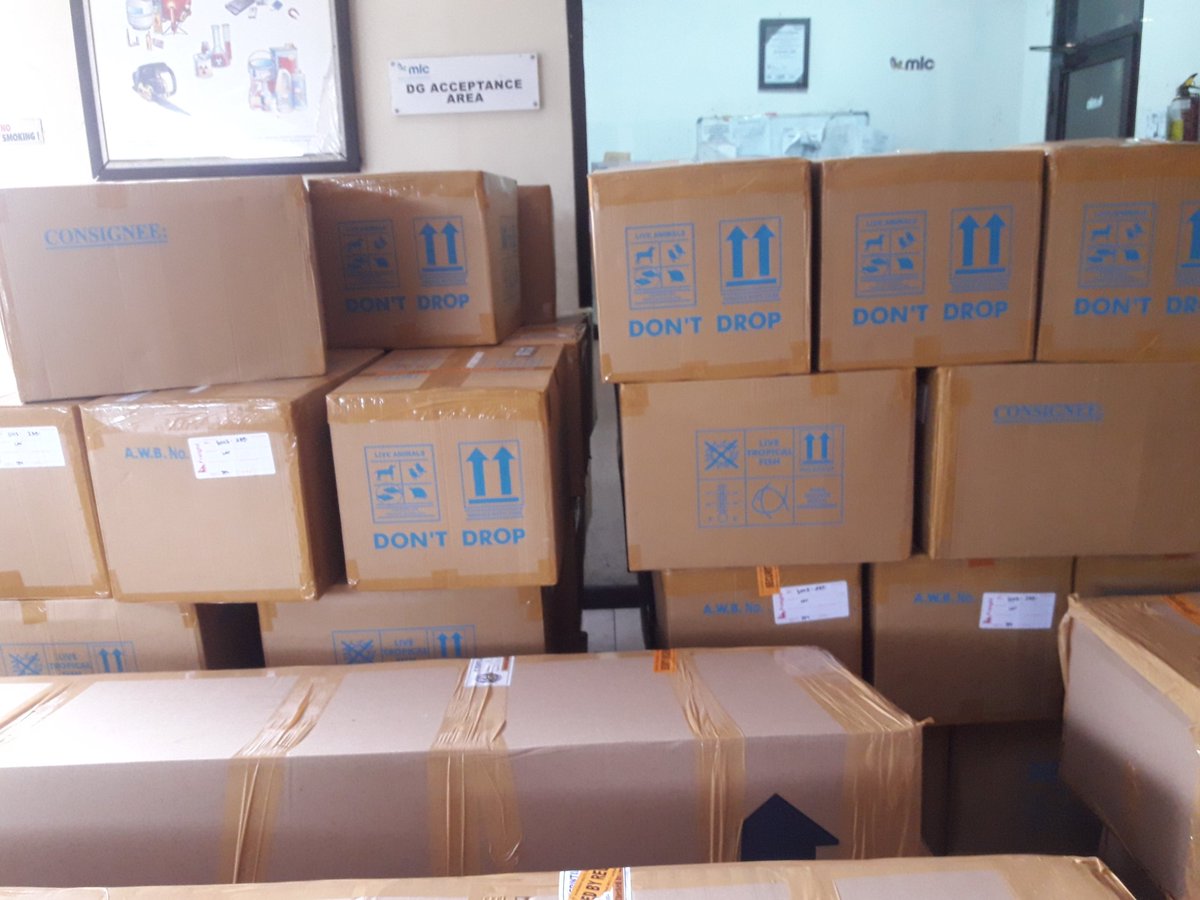 bkipmdenpasar's tweet photo. 21/01 #OneHealthKIPM  Pemeriksaan LalulintasHasilPerikanan Ekspor di BandaraNgurahRai by @bkipmdenpasar @HumasBKIPM @rinajanwar2201 @worones https://t.co/SrT6Oi58d1