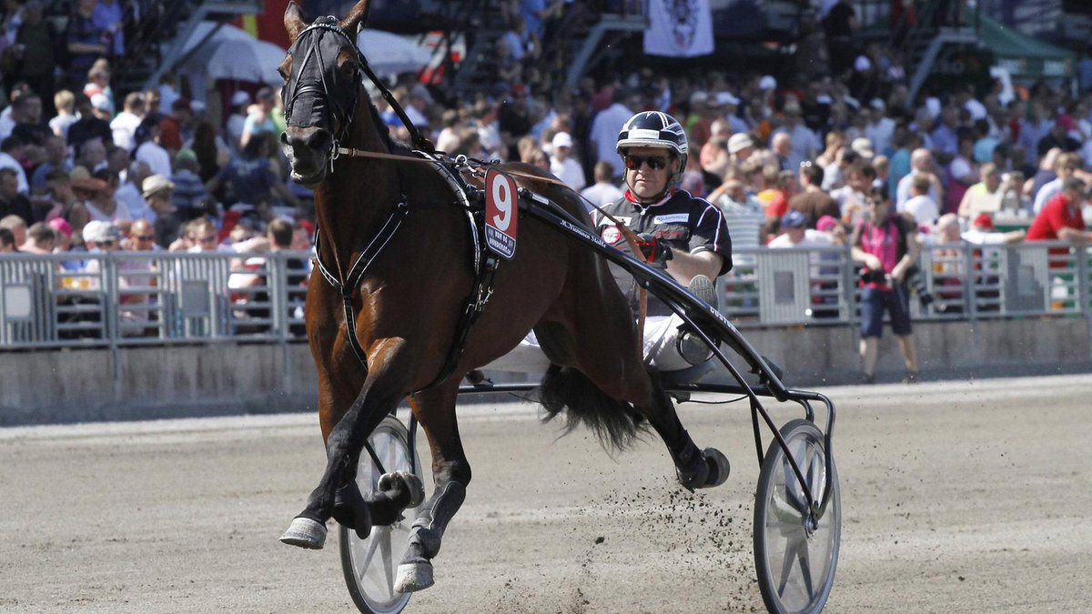 Markku Niemiselle kultainen tunnustus – tässä ravivuoden palkitut: Ravivuoden 2017 parhaat palkittiin lauantai-iltana Lahden Urheilu- ja messukeskuksessa. Markku Nieminen, yksi kaikkien aikojen menestyneimmistä ravivalmentajista, palkittiin… dlvr.it/QC69FP #ravit