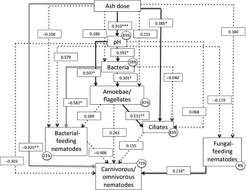 GCB_Bioenergy's tweet photo. The relative importance of the bacterial pathway and soil inorganic nitrogen increase across an extreme wood‐ash application gradient https://t.co/XernRcZlo8
#GCBBEarlyView https://t.co/LW4vPQ3TxS