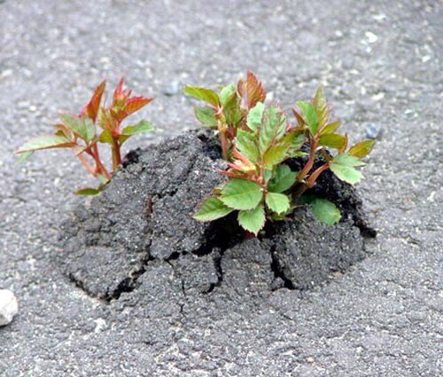 ismaelpalacin's tweet photo. Sovint els infants aprenen en altres temps i llocs que no havíem previst #educació360

🔘 #vine https://t.co/4cOSCGdYKU https://t.co/9wCUYu1wuc