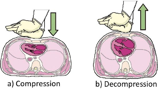 CPR Knowledge test => answer by replying

Why is allowing chest recoil important when performing high-quality CPR?
