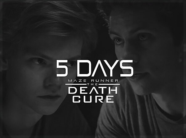 D_Ho_'s tweet photo. #DeathCureCountdown https://t.co/jx4C5omUM4