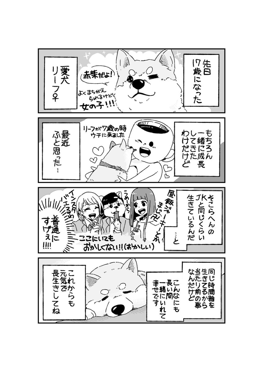 17歳になったリーフへ?
愛が溢れて止まらない飼い主より 