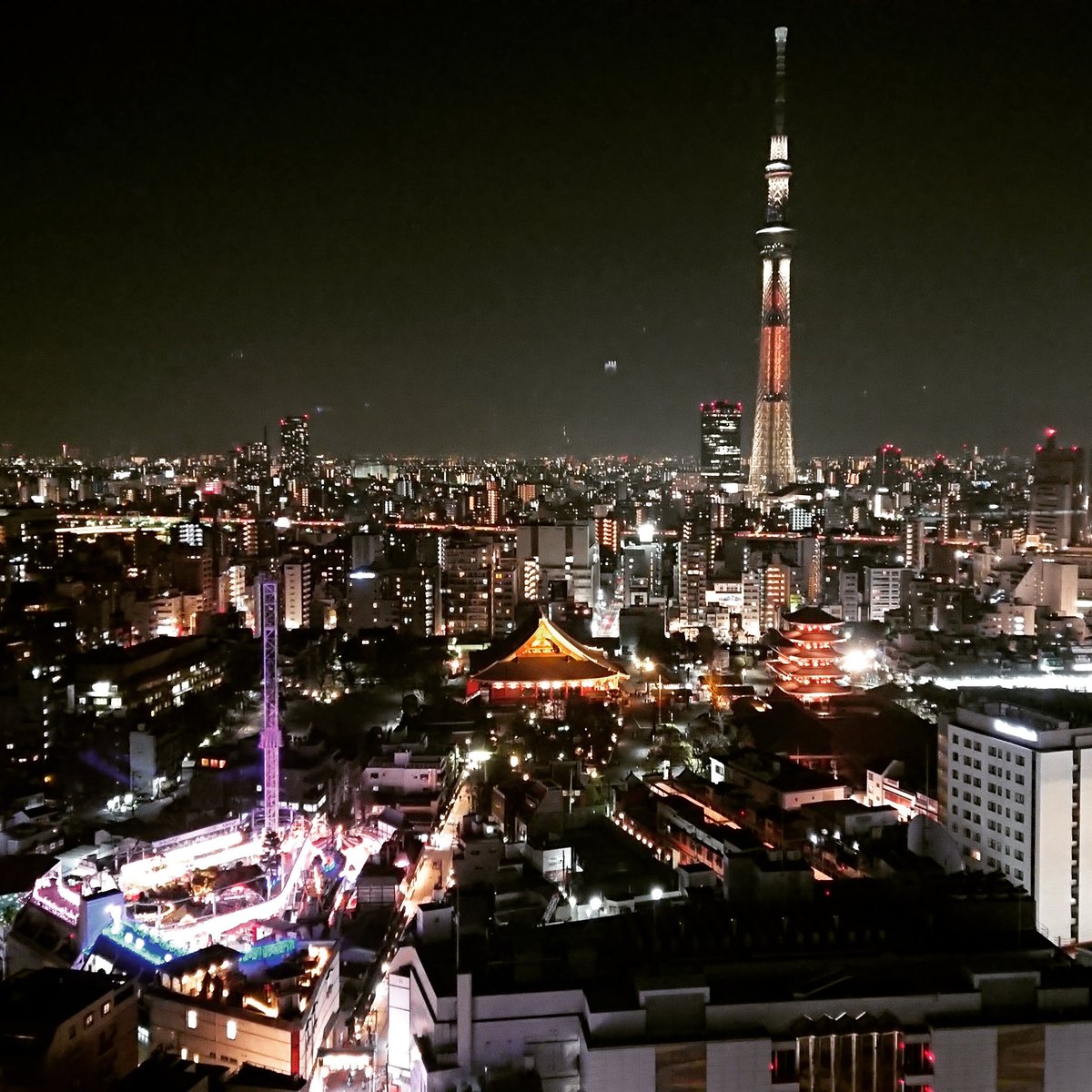 Fly On Littlewingjp Twitter