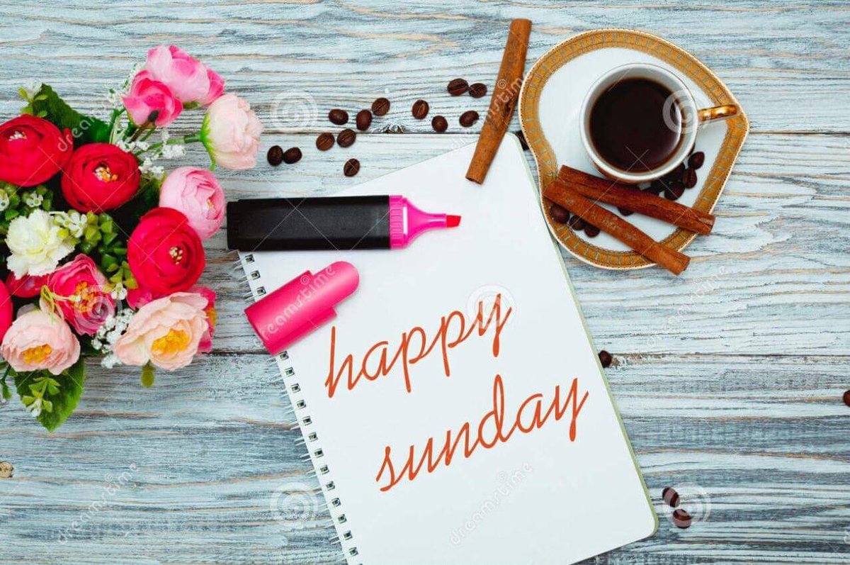 babelyn_g's tweet photo. Enlarge the place of your tent, stretch your tent curtains wide, do not hold back; lengthen your cords, strengthen your stakes.

Don't get EXCITED by a promise and LAZY  for the process.. https://t.co/86aZXqfDg9