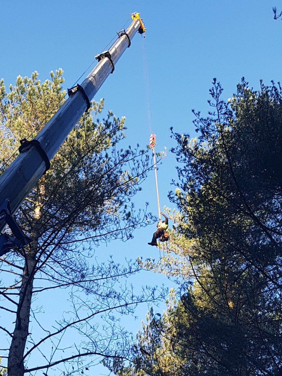 Haine Tree Services tweet media