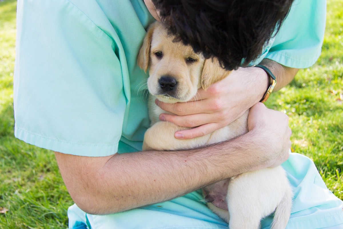 Guide Dogs Newcastle (GD_Newcastle) Twitter