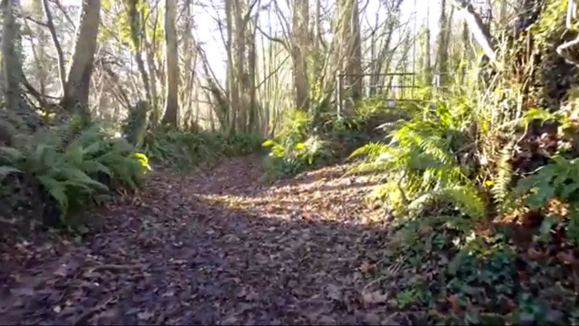 thegooddenlife's tweet photo. I’ve been working on something I’m super excited to share - my first #YouTube video! 🙈🙌🎥 a quick peek at our new life in the #Dorset #countryside after making the big move from London! Let me know what you think! https://t.co/e4WL2OPMbj #escapetothecountry #greatthingstodo https://t.co/xB0neXAwrm