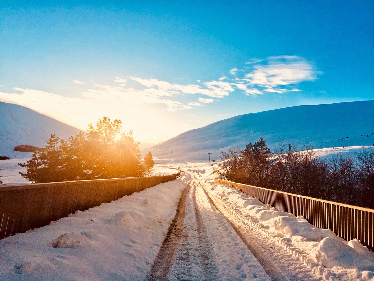 ProSQPhoto's tweet photo. Good morning Scotland https://t.co/OwslRiissf