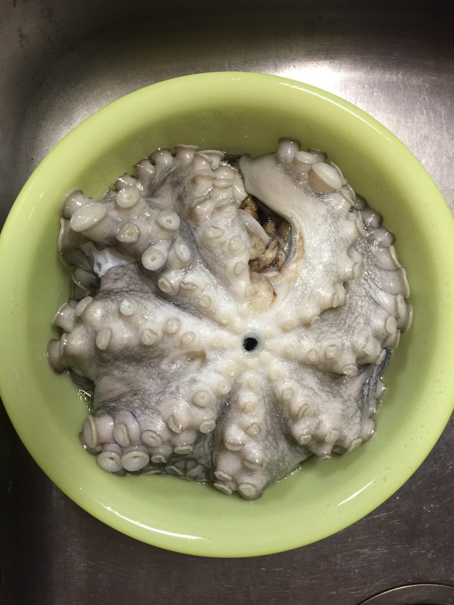 ぜいたくタコ 塩揉み 最高の花の画像