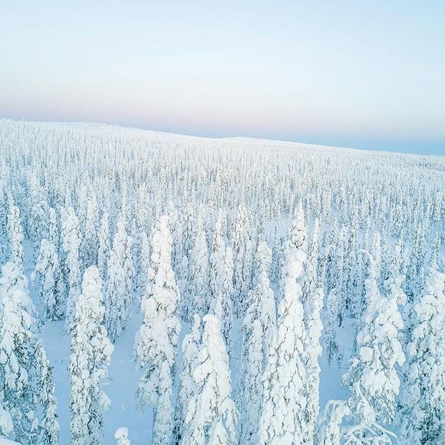 Featured artist <a href="/lateeek/">Lauri Komulainen</a> 
White - colour of the day 
#koesuomi #feelfinland #gofinland #artofvisuals #visualsoflife #beautifuldestinations #theimaged #welivetoexplore #agameoftones #exploretocreate #justgoshoot #peoplescreatives #naturegeography #theoutbound #visualsofearth …