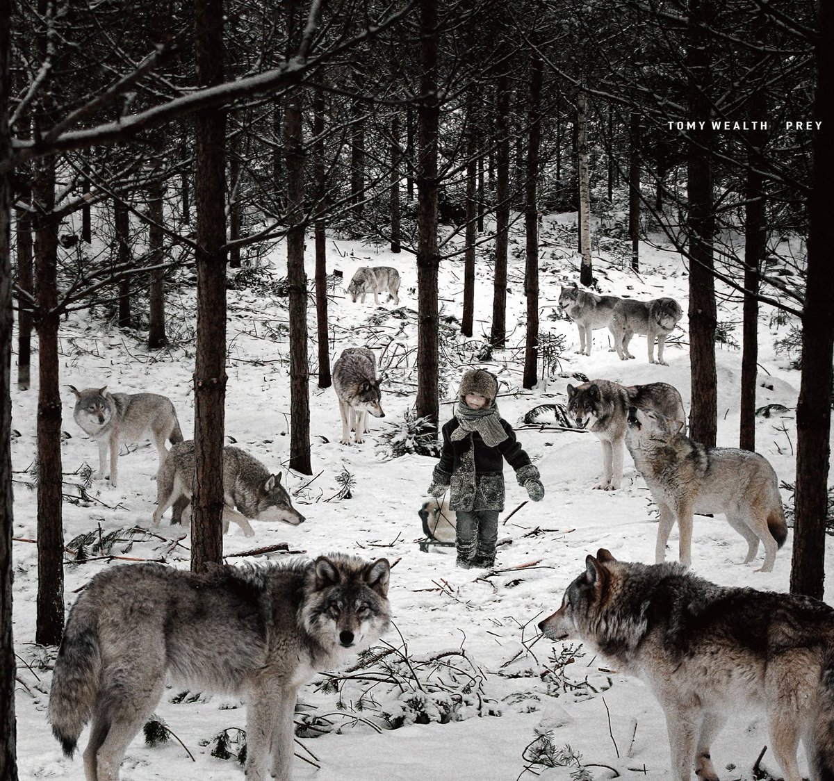 𝘛𝘖𝘔𝘠 𝘞𝘌𝘈𝘓𝘛𝘏 tweet media