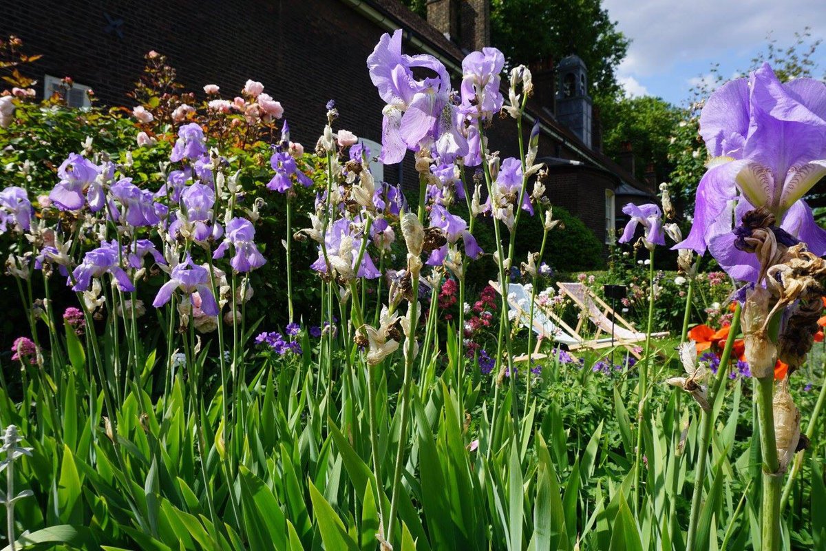 ChelseaFringe's tweet photo. Registration open! It’s time to let us know your great event &amp; project ideas for this year’s Fringe 🌿 https://t.co/leef6omoMh https://t.co/q2O707WwHs