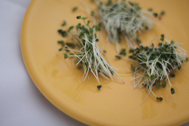 Brunch prep 🤤 PC: <a href="/ladyofgrand/">Jolie W</a>