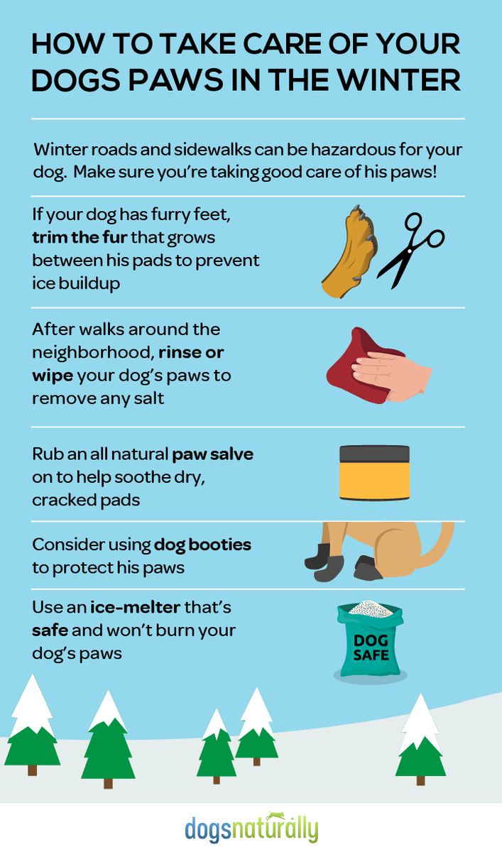 Great advice for protecting the paws!
