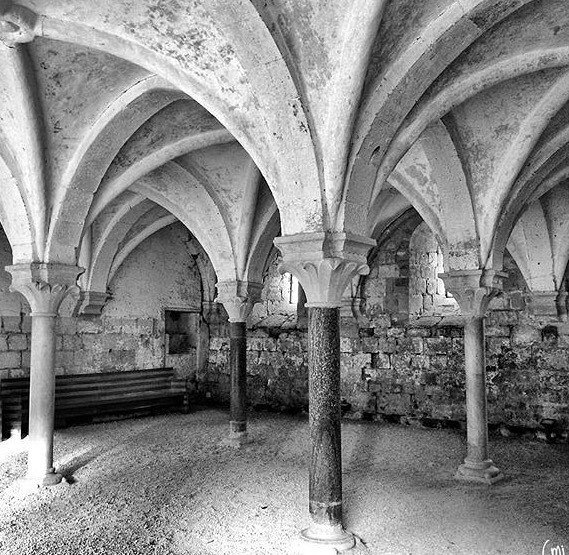 tourismecondom's tweet photo. Notre photo coup de 🖤 de la semaine : l'Abbaye de Flaran
La "salle d'attente" vue par @mijo.casanova merci 🙌🏼
#tourismecondom #gers #tenareze #abbaye #flaran #architecture #bnw #bnw_architecture #histoire #igersgers #effetoie #abadia #blackandwhite #… https://t.co/0gCXViAh30 https://t.co/8Yt8csz3CY