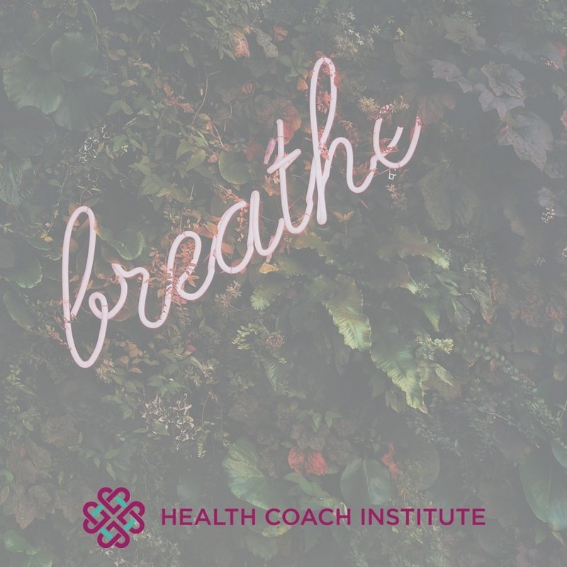 HealthCoachInst's tweet photo. Self-Care Sunday! Take some time to breathe deeply today! #SelfCareSunday #SelfCare #SundayFunday #FillYourselfUp #SundayVibes #HCI #HealthCoach #LifeCoach #HolisticHealing https://t.co/RN8QKMqBzc