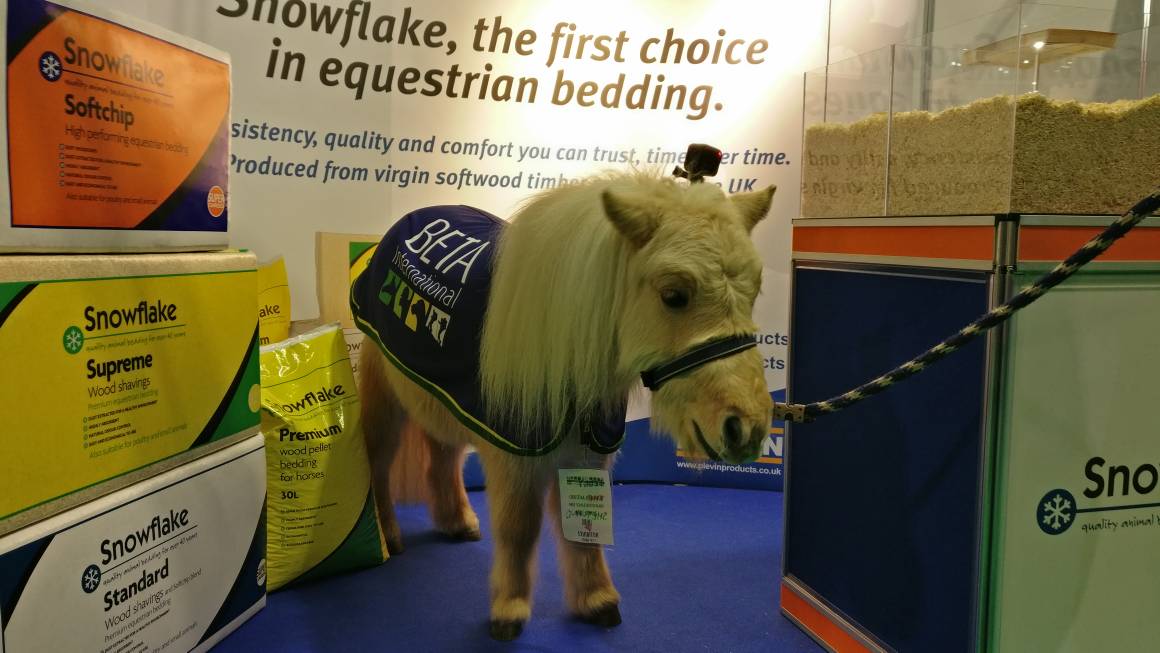 plevinproducts's tweet photo. A very special VIP visitor to our stand today! @AliceGoring #BETA2018 #Snowflake https://t.co/ZCNwhXXC96