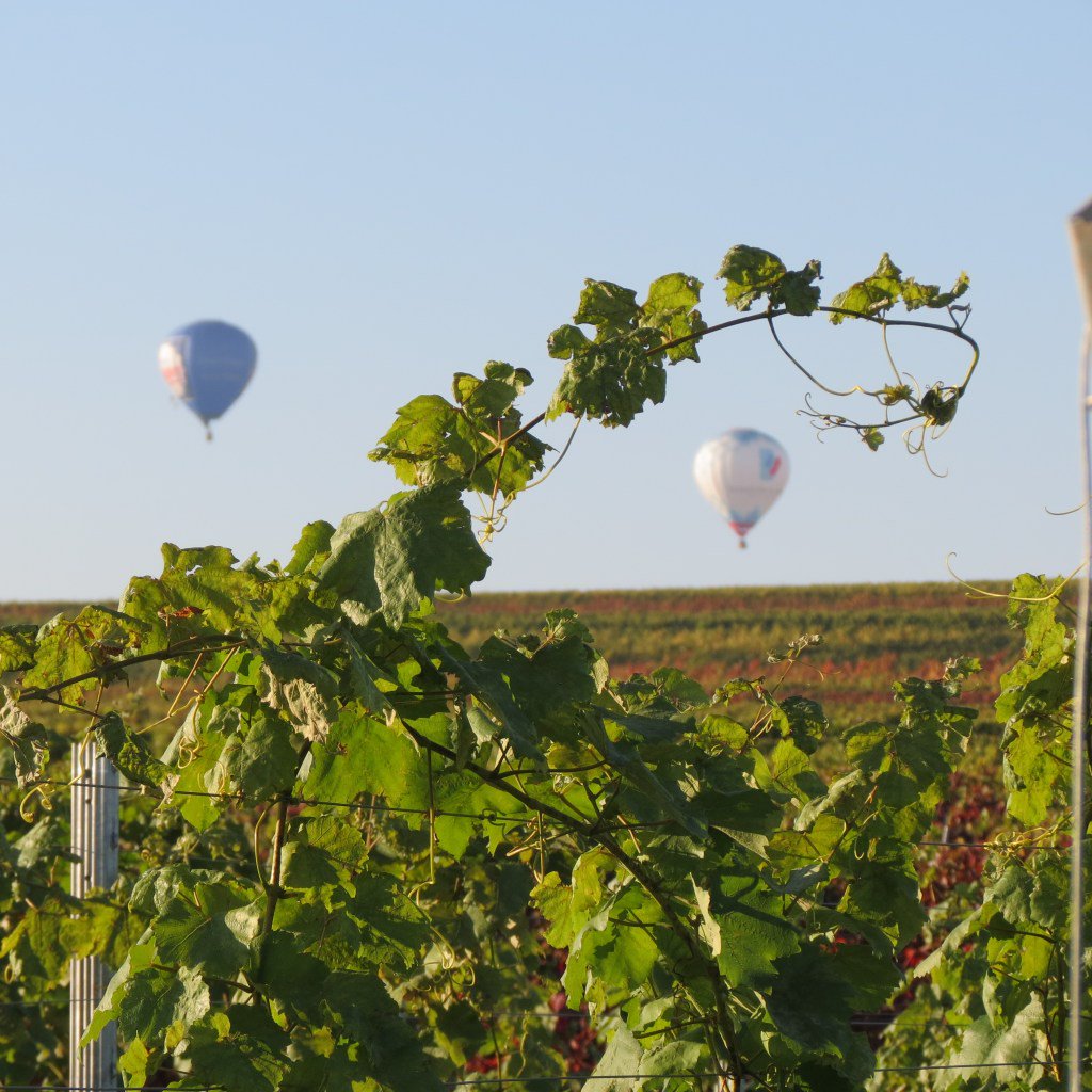 Binas Pfalzliebe zu Gast beim “Herbstlichen Kamingespräch” der Pfälzer Weinwirtschaft binaspfalzliebe.de/2018/01/21/bin…