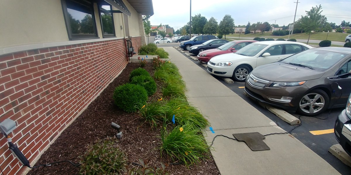 AmazingChevVolt's tweet photo. @CityLogisticsNL ED. NOTE/
Workaround:
In These Pix I Am, Level 1, 120V AC #ParkCharging W/My 2015 @GM @Chevrolet @ChevyElectric #FirstGenVolt #EREV #AmazingChevVolt2
&
#AmazingChevVolt
Note:
Charge Cord Covered, Rear Seat Floormat.
https://t.co/IzUQYcCvon
EREV Deep Dive:
https://t.co/wewUMjYnD6 https://t.co/svVZgYR5Le