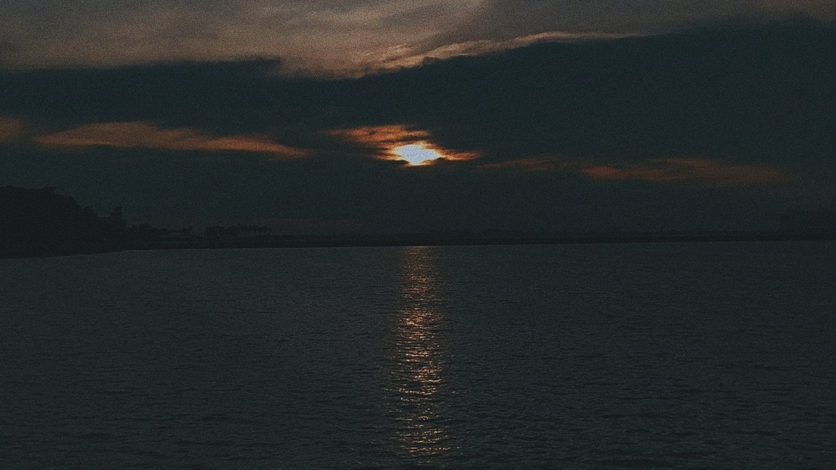 DanialRon's tweet photo. My name is Danial Ron and I'm a 26 year old chronic VSCO mobile photographer from Singapore 🇸🇬 and a single retweet would really help me gain exposure and put food on the table for me and my 3 year old ragdoll flufball called Harley https://t.co/ThhBkRH7qg