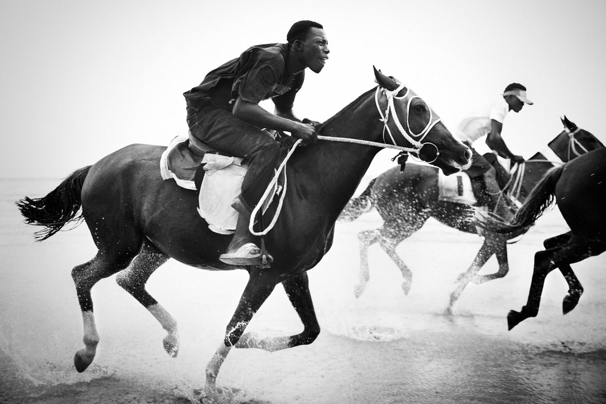 The Independent Photographer (@indep_photo) on Twitter photo Congratulations to the Editors' picks from our December #blackandwhitephotography competition.
"Charging the Beach" - #Accra, #Ghana 2017
Photo: © Jim Fenwick <a href="/JimFenwick/">Jim Fenwick</a>
Discover all editors' picks here: buff.ly/2ri0LLF
#photography #blackandwhite #horse #horserace Congratulations to the Editors' picks from our December #blackandwhitephotography competition.
"Charging the Beach" - #Accra, #Ghana 2017
Photo: © Jim Fenwick <a href="/JimFenwick/">Jim Fenwick</a>
Discover all editors' picks here: buff.ly/2ri0LLF
#photography #blackandwhite #horse #horserace