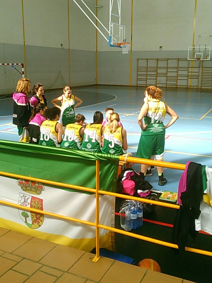 Club Baloncesto Campillos (CBC) tweet media