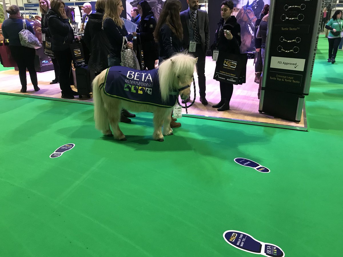 Freya_Elliott's tweet photo. Productive day at @BETA_Int as a @DatatagID representative, whilst spotting this little fella around the exhibitor stands. Great opportunities to speak to lots of suppliers! https://t.co/FmvZkw9Hbh