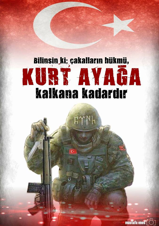 GokceTurk90's tweet photo. #ZeytinDalıHareketı https://t.co/2iV6RiZN2F