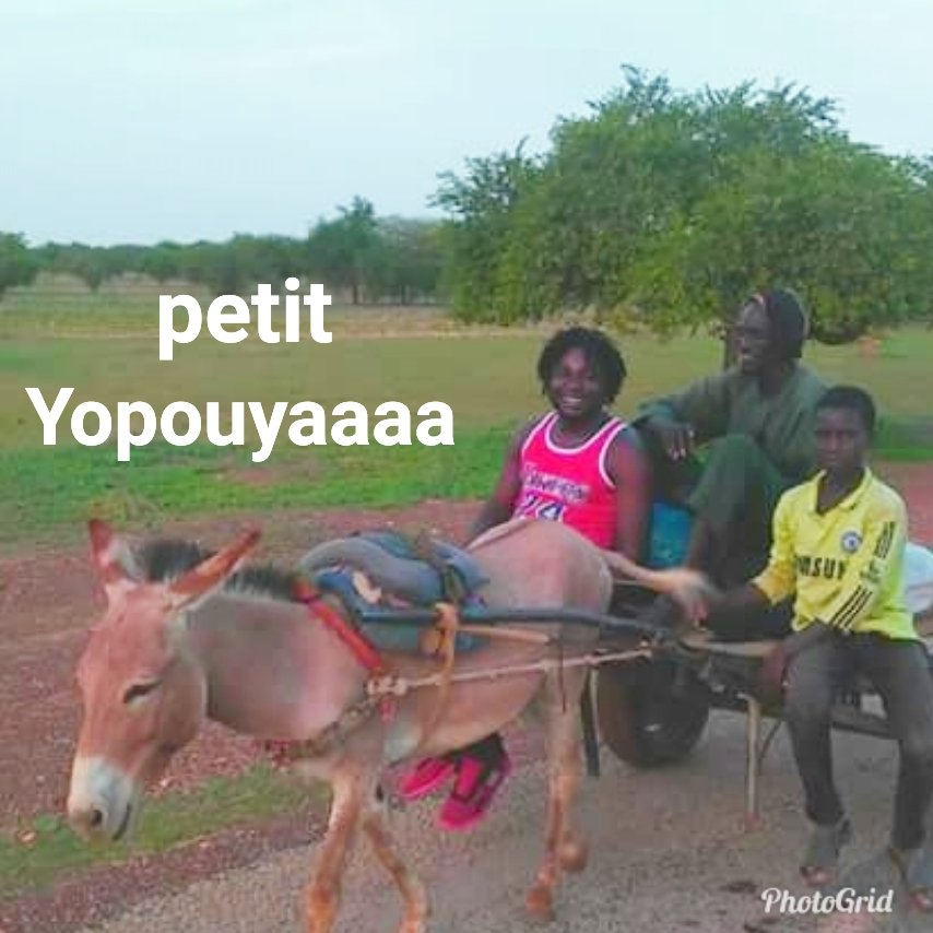 MECOU5's tweet image. Le Yopouyaaaa vous salut