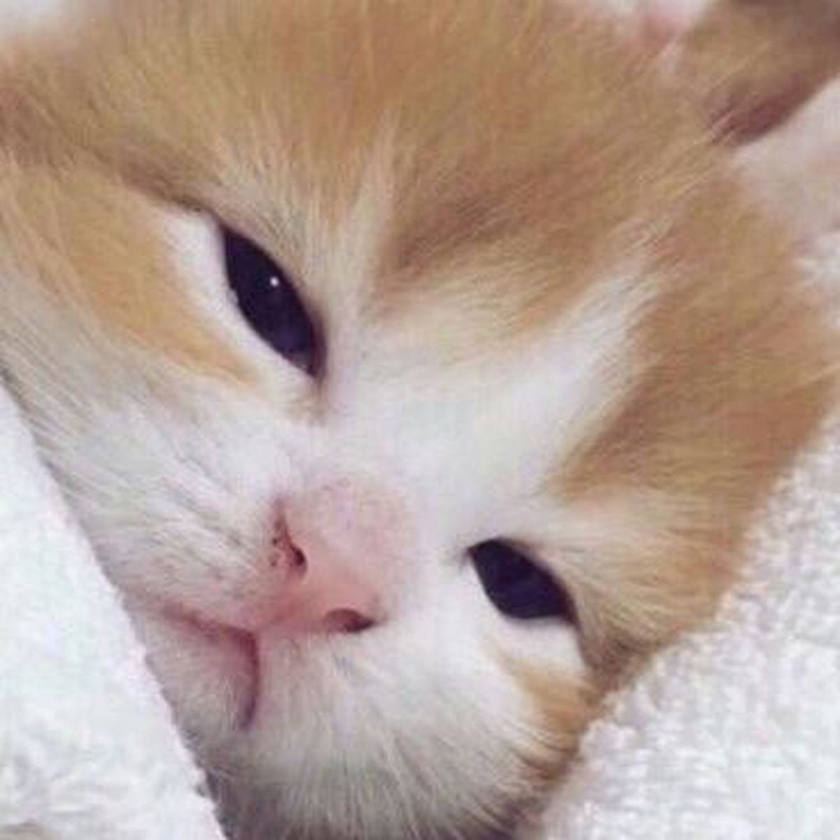 tingtangtyong's tweet photo. ตอนทำงาน vs ตอนติ่ง https://t.co/L4BYDsxMJO