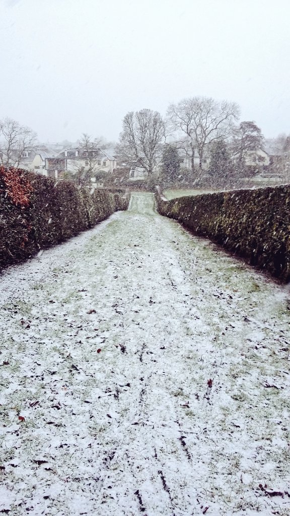 Tweaking, pruning, and chopping in preparation for next weekends #DoonbankTrofee <a href="/superquaich/">Super Quaich</a> <a href="/Walkers_CC/">WalkersCyclingClub</a> @albannachcc
