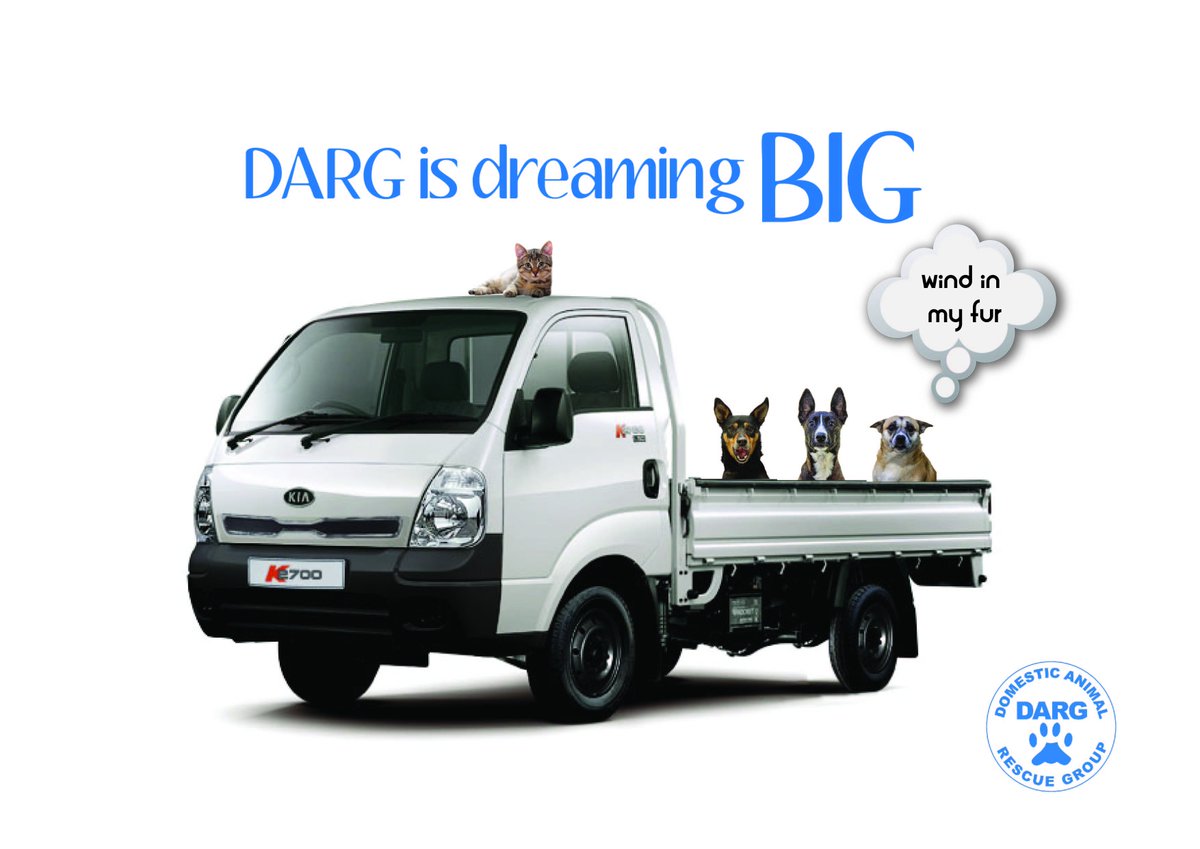 dargdays's tweet image. DARG is in need of a new vehicle 💙💙💙
We are dreaming BIG and asking for a Hyndai K2700 with a canopy.
If anyone has any contacts please give our office a ring on 021 790 0383
# dargdays #supportyourshelter #wheels #doglovers