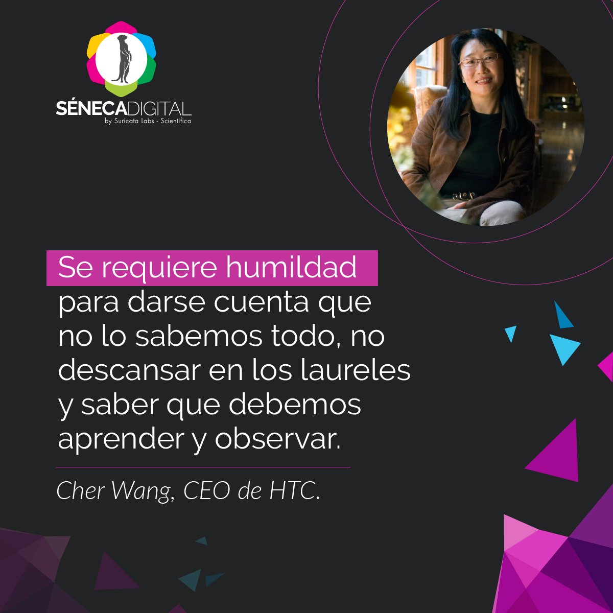 SenecaDigital's tweet photo. El trabajo debe ser constante, sin confiar demasiado en el éxito del momento. #FrasedelDía https://t.co/WSE0EKa0jT