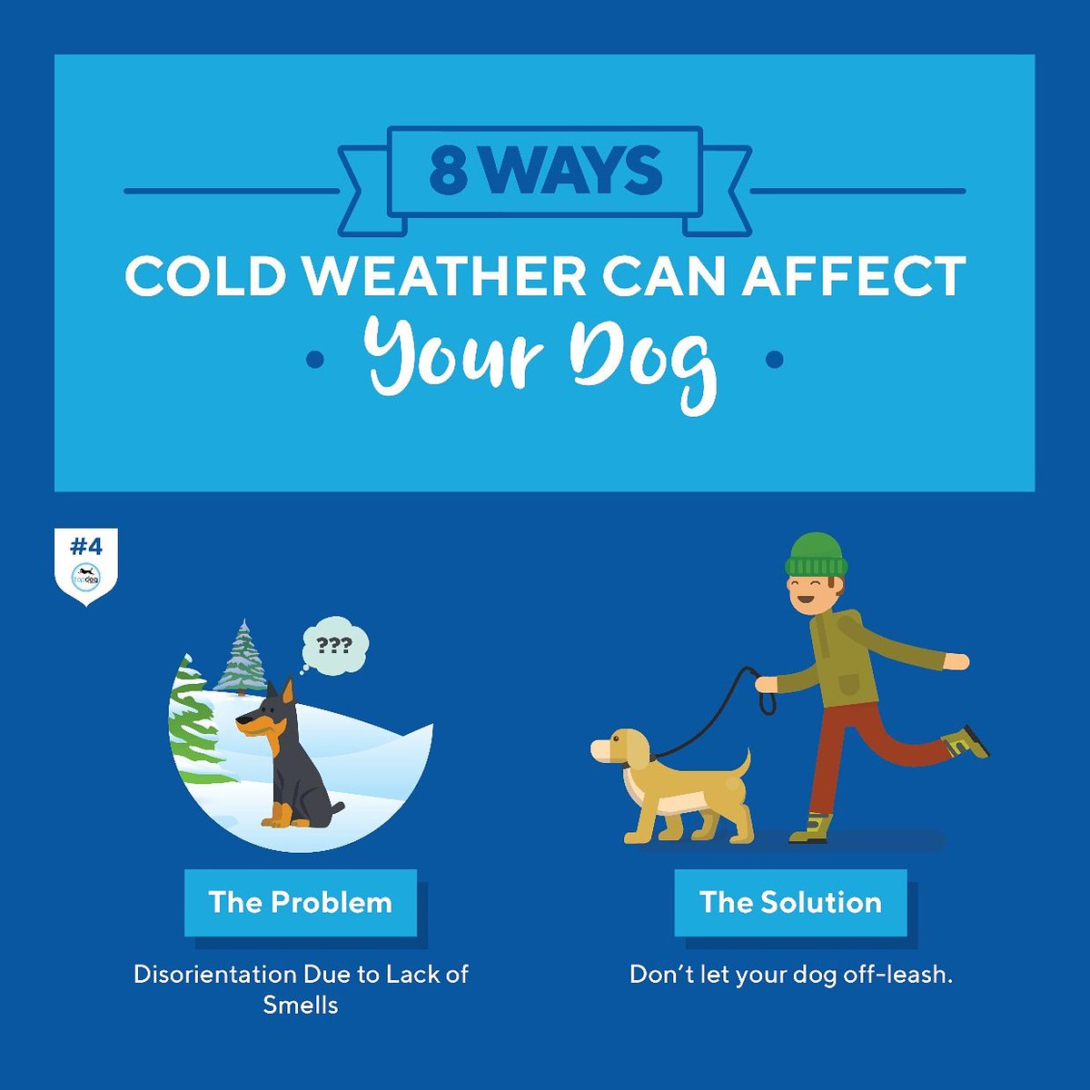 TopDogHealth's tweet image. Day 4 Cold Weather Facts
Dogs rely heavily on their strong sense of smell to get their bearings and know where they are. During a storm or when snow and ice blanket the ground, these smells get covered up and it’s easier for your dog to get disoriented.👉bit.ly/2loFjzs👈