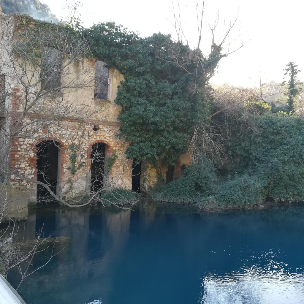 PaolaGigante62's tweet photo. #Stifone #GoledelNera passeggiando  cercando il blu https://t.co/0zJbRRGcWF