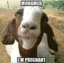 JBlueTheGoalie's tweet photo. @President1Trump #EXTERMINATEislam a
#MISOGYNISTDeathCULT
Masquerading as a Religion
#moslemWomensRIGHTSrDIFFERENT
#mohammedPEDOPHILEprophet#moslemsAreBornCOWARDS https://t.co/SGfJst1oOx
