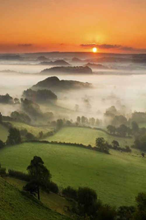 ElizStJohn's tweet photo. "This royal throne of kings, this sceptred isle
this earth of majesty, this seat of Mars"
Richard II 
#ShakespeareSunday 
#TrialofKingCharles
#ShockandDisbelief #Stuarts #KeepitStuart #17thC #EndofMonarchy https://t.co/Z2XV5vMI9P