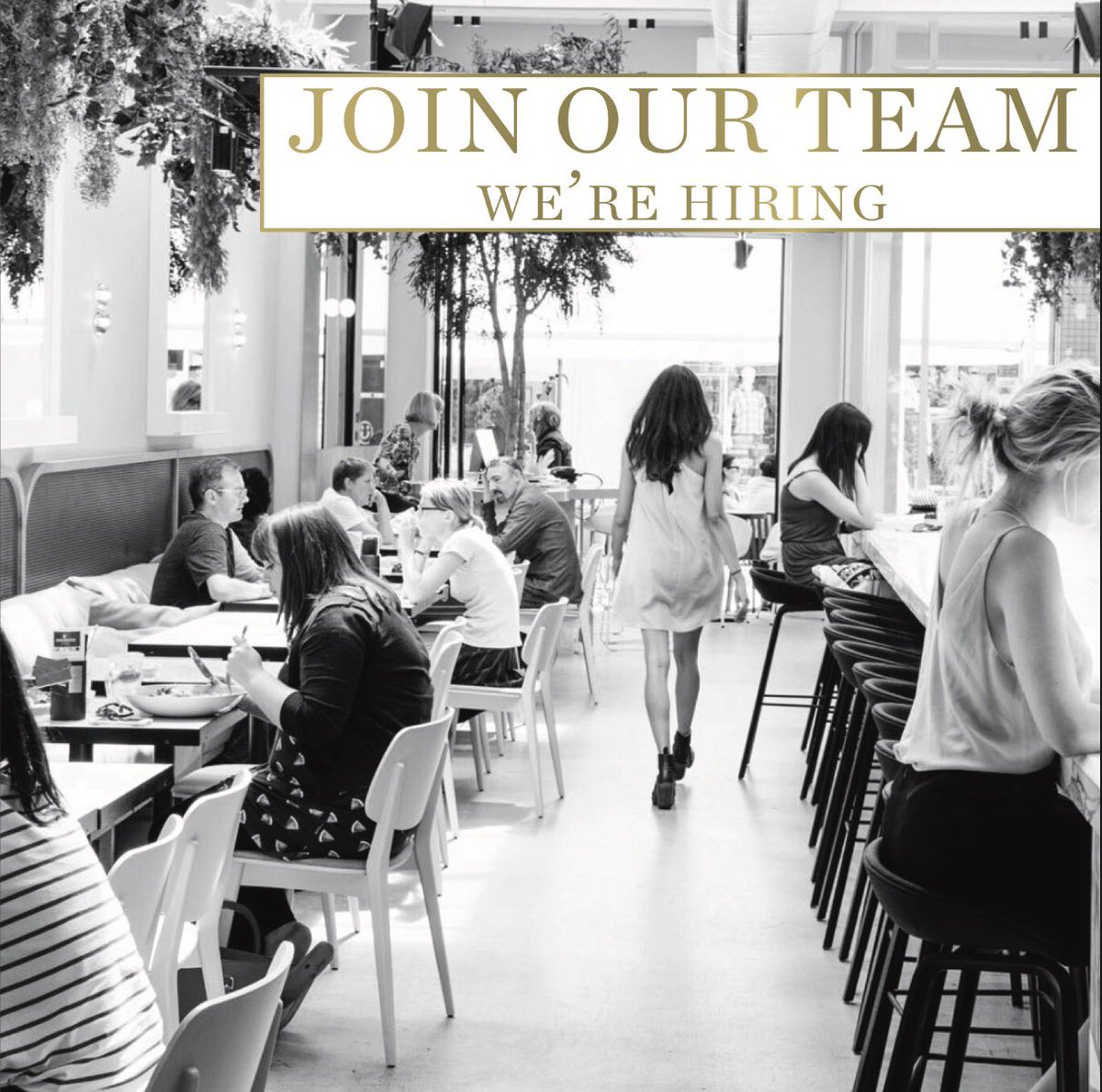 Red Roaster (@redroasterbtn) on Twitter photo We are looking for some fantastic new team members, full and part time positions available. Email hannah@redroaster.co.uk for more info We are looking for some fantastic new team members, full and part time positions available. Email hannah@redroaster.co.uk for more info