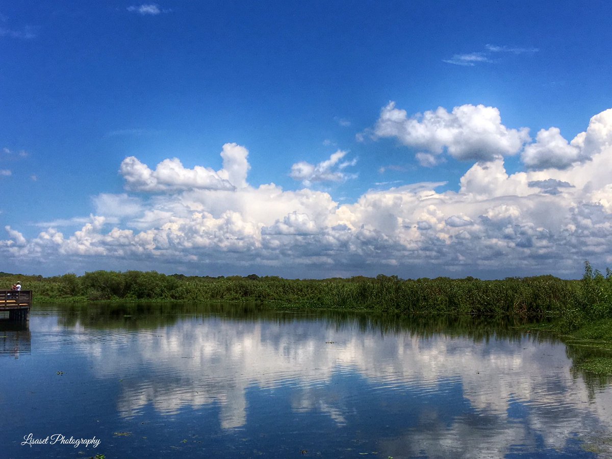 quartermileisa's tweet photo. ~"Reflection play"..its a beautiful Florida day.Happy Sunday!~✨☁️
#lovefl
#GeminiSprings
#naturelover
#cloudlover
#skylover https://t.co/JUfUrJfrPk